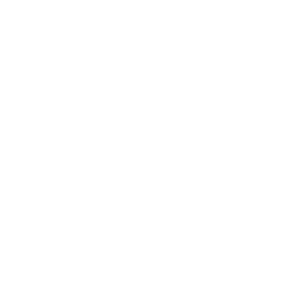 CSS Icon