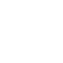 Code Icon