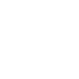 HTML Icon