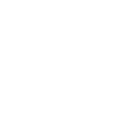 JavaScript Icon