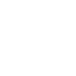 Lua Icon
