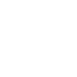 NextJS Icon