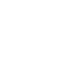NodeJS Icon