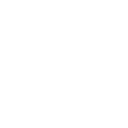 Python Icon