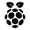 Raspberry Pi Icon