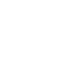Raspberry Pi Icon
