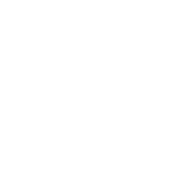 React Icon