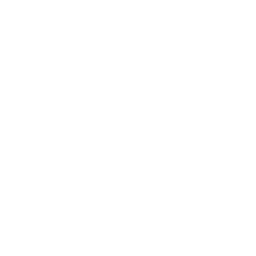 Tailwind CSS Icon